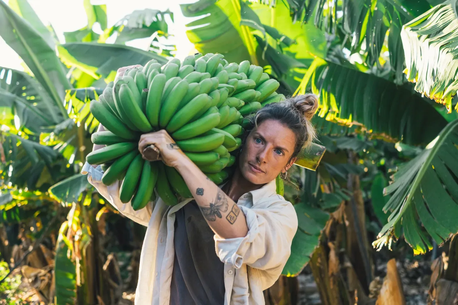 Documentary portrait on a banana plantation in the Canary Islands